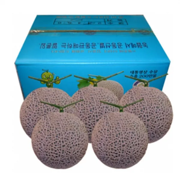 세론이 멜론 나주메론5kg 명절 부모님선물 자연향기 머스크메론4과