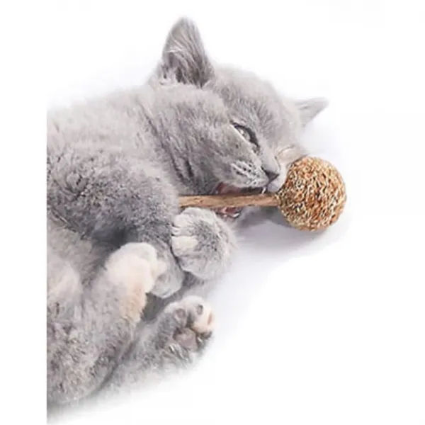 고양이 친해지기 용품 마따따비캔디 먹이 마타타비 식물 진정제 다묘가정 길냥이 냥이 자묘 간식 추천, 1개