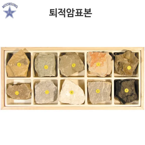 퇴적암표본