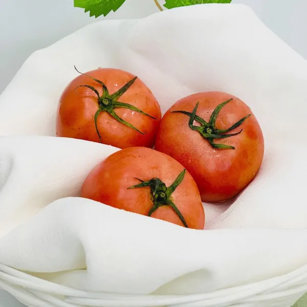 국내산 새벽 완숙 찰토마토, 1box, 5kg