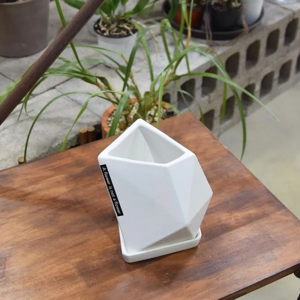 키즈윙 모던 무광 도기화분 다각형 스펙트럴 S 11x11x15cm 화분