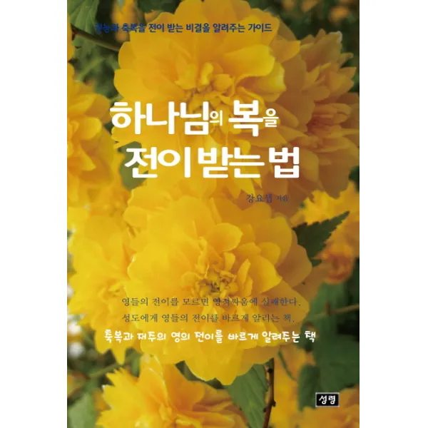 하나님의 복을 전이 받는 법:권능과 축복을 전이 받는 비결을 알려주는 가이드, 성령