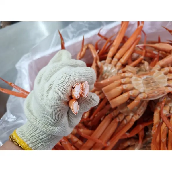 국내산 홍게 3kg 쿠팡 오픈 기념 이벤트 자숙비 무료 무료배송 1세트