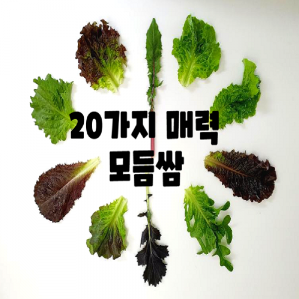 행복237 쌈채소 20가지 모듬쌈채소 모듬쌈 비타민채소 특수야채 쌈추 500g 1kg, 모듬쌈채소500g