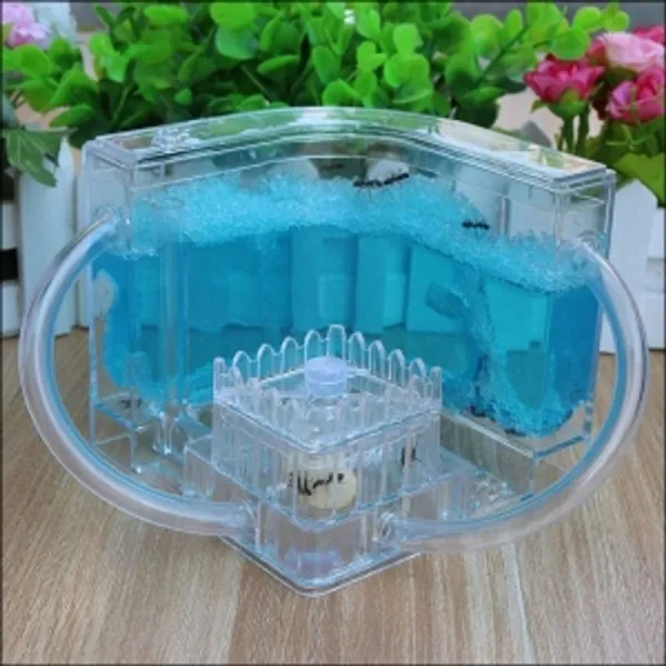 5myshop_향앤미과학 3차원 개미 농장 개미집 체험 학습 과학교구 만들기도구 만들기재료 교구 학습도구_+ 이상품선택!!