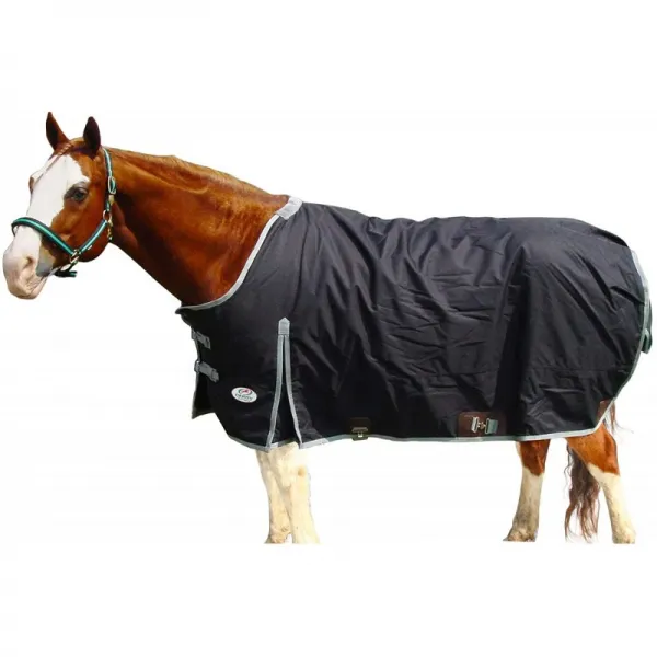 Derby Originals West Coast 600D Ripstop 방수 겨울 헤비급 말 투표율 담요 300g 단열재 및 1 년 보증 82 