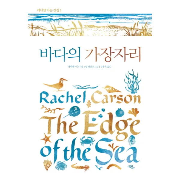 바다의 가장자리, 에코리브르