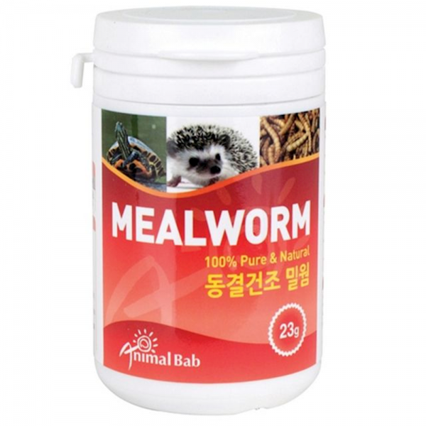 동결건조밀웜 23g 고단백질 필수 영양간식 4개 초보수초 장수풍뎅이 새우소일 uvpr, 1개