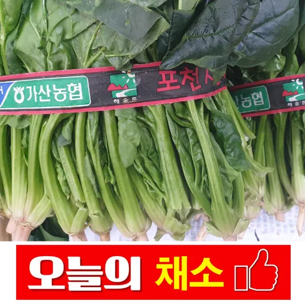바른채소 시금치 1단 (약300g) 신선함을 그대로 가락시장 가락몰 직배송 시스템, 1개