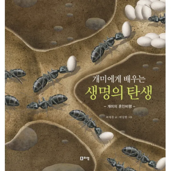 개미에게 배우는 생명의 탄생:개미의 혼인비행, 리젬