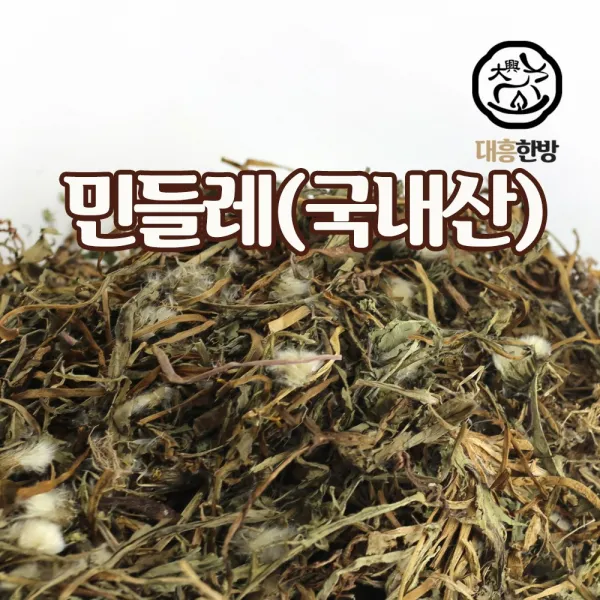 대흥한방 민들레 600g 국내산, 1개, 150g