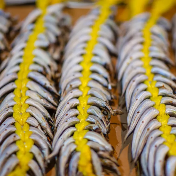  싱싱마켓몰 속초 당일바리 반건조 햇 양미리 3드릅 60미 