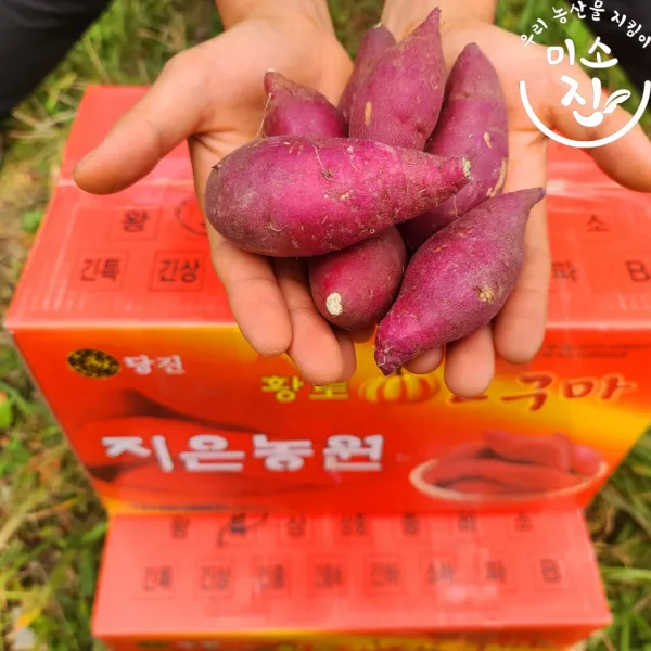 지은농원 베니지민 꿀 고구마 100%리콜제 (한입) 3kg 5kg 10kg, 한입3kg