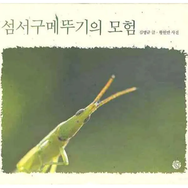 섬서구메뚜기의 모험, 소년한길