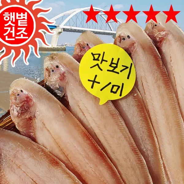 장스토어 반건조 박대 24-32cm 5-10마리 군산항 직송, 1세트, 02_박대 중 8미(약 700g/ 26cm내외)