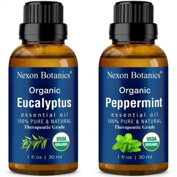 유기 유칼립투스 필수 기름 그리고 페퍼민트 다발 - 완벽한 를 diy 조리법 아로마 테라피는 마사지 국소 가계 사용하다