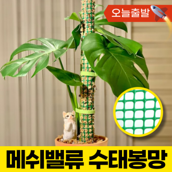 메쉬밸류 수태봉 수태벽 1M 6000원~