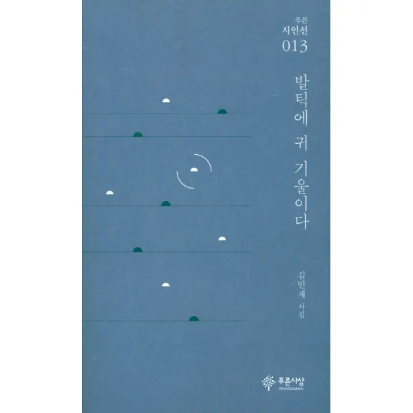 발틱에 귀 기울이다:김민재 시집, 푸른사상
