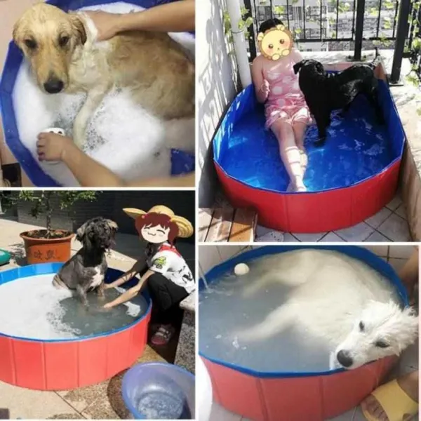 강아지 폴딩 중대형 라지 번 오래사용 기 가 변목견 목욕탕 통 레드 라지 번 120 *30{ 구매를