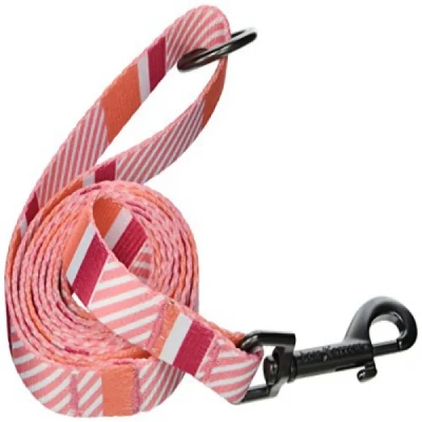 Bow Arrow Colorful Stripe Dog Leash Coral 5 ft 활 화살 다채로운 줄무늬 개 가죽 끈 산호 5 피트, 1