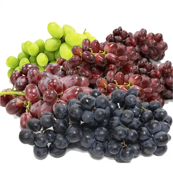 대한농산 거봉 포도 레드글로브 대용량 8kg, 1box