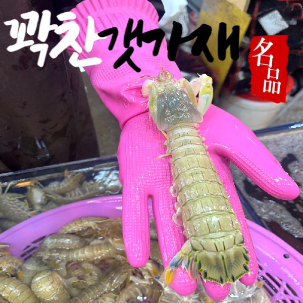 어부언니 쏙 갯가재 생물 활 산지직송 당일조업 가재 1kg