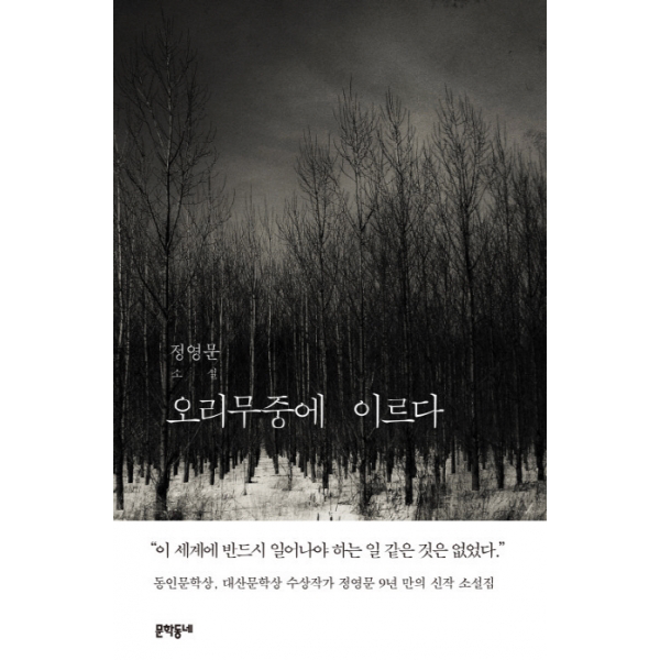 오리무중에 이르다 : 정영문 소설 (문학동네 소설)[ 양장 ]