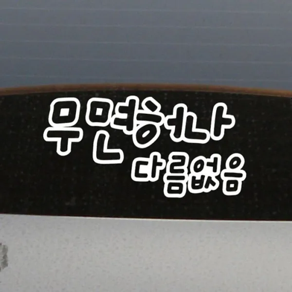 [뭉키데코] 자동차스티커1_LSC-017_초보운전무면허나 다름없음, 화이트 (28456857)