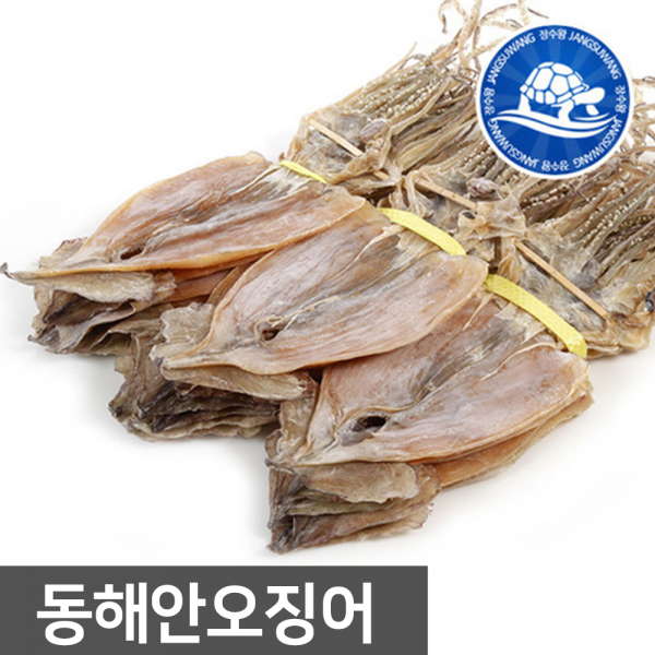 장수왕 동해안 건오징어10마리(500g) 국산마른오징어 중부시장도매, 500g내외, 1봉