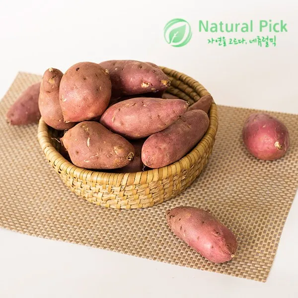 못난이 꿀고구마 특가 10KG, 1박스, 10KG(크기 랜덤)