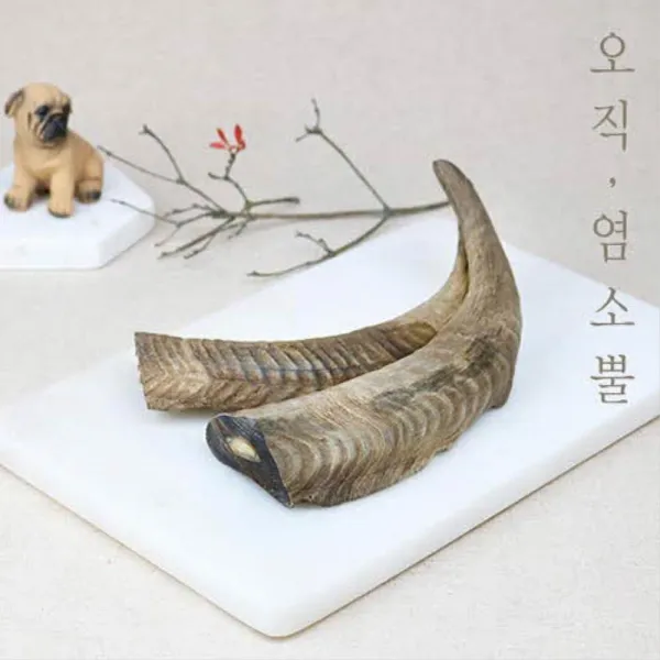 강아지 별식 오래먹는 염소뿔 간식 본간식 반려견간식, 1개