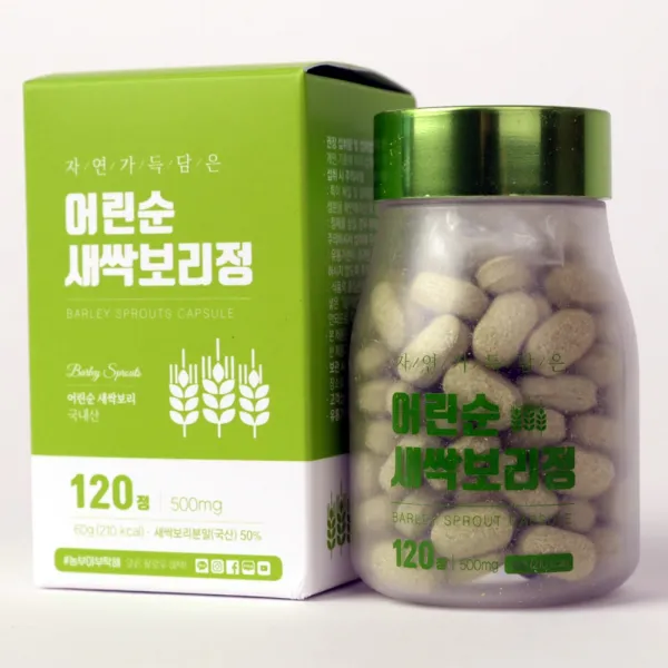 새싹보리정 500mg X 120정, 60g, 1개