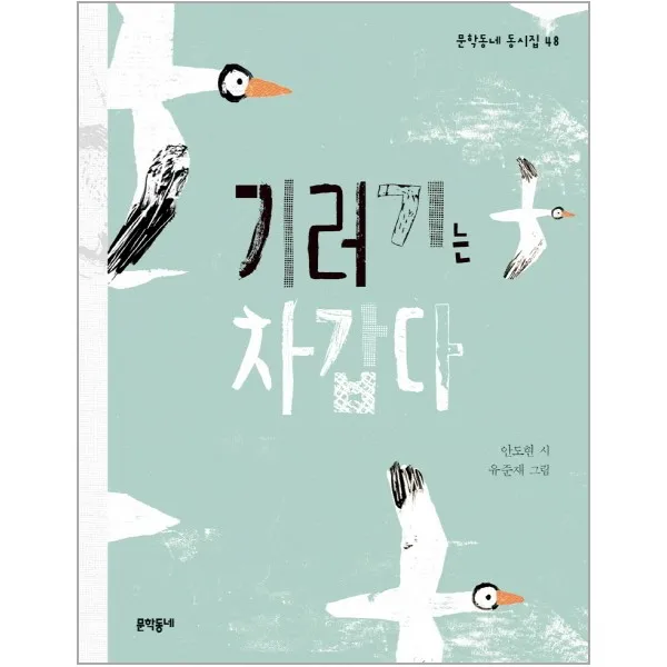 이노플리아 기러기는 차갑다 48 문학동네동시집, One color | One Size@1