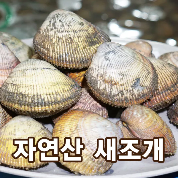 자연산 새조개 2.5kg손질 (500g 내외) 1팩, 실중량 (450-500g내외)