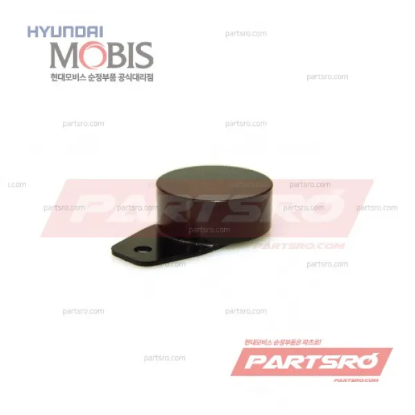 순정 맥동음 맥동댐퍼 엔진 진동감소 튜닝