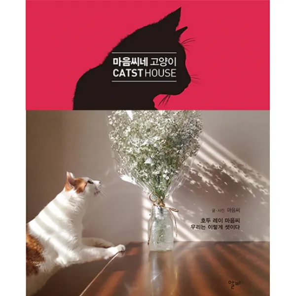 마음씨네 고양이:호두 레이 마음씨 우리는 이렇게 셋이다!, 알비