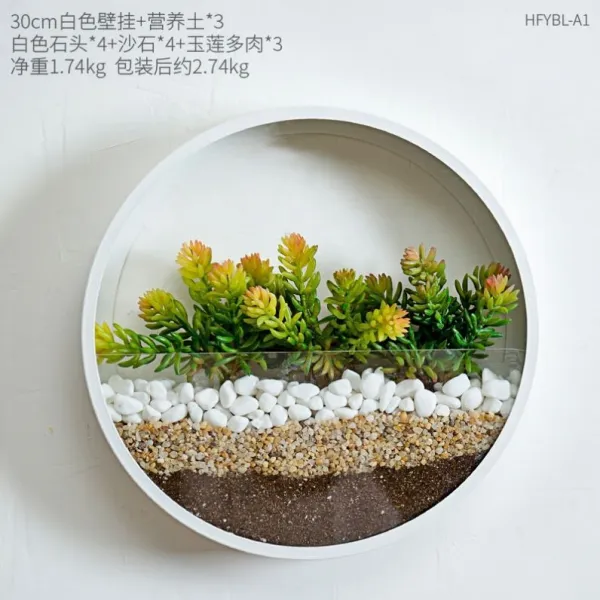 벽에 거는 행인 플랜트 벽걸이 유리 수경식물 화분 화병, 30cm 흰색 조합