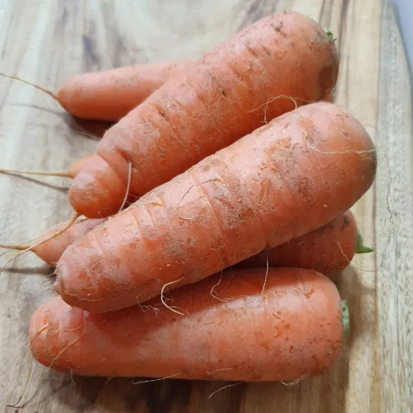 흙당근 1kg 3kg 5kg 10kg 아삭아삭 싱싱한 주스용 못난이 햇 당근 01. 흙당근 주스용 못난이 1kg