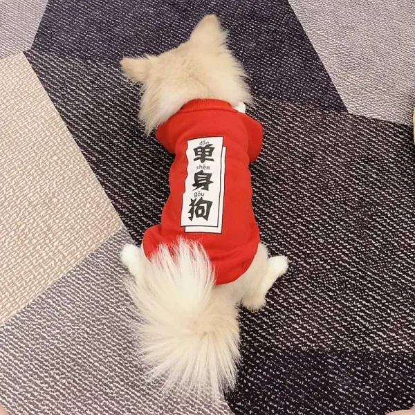 Nov.27 251번 강아지 옷 애완 고양이 테디 패션 가을 겨울엔 곰보다 두꺼운 보미 스웨터를 입는다.Z, 독신자 개