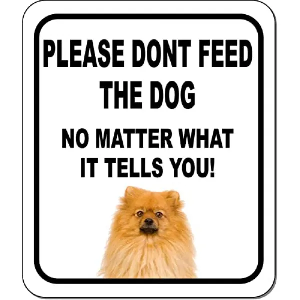 Pomeranian 알루미늄 복합 옥외 사인 8.5 x 10에 관계없이 개가 말라, 본상품
