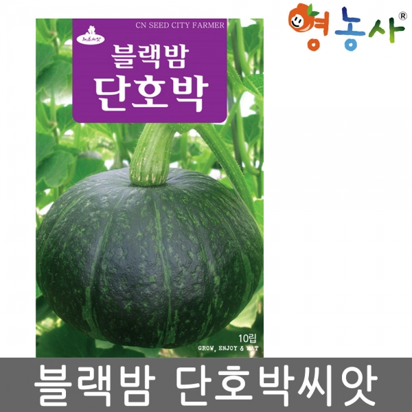 블랙밤 단호박씨앗 10립 밤호박씨앗 호박씨앗 우량 씨