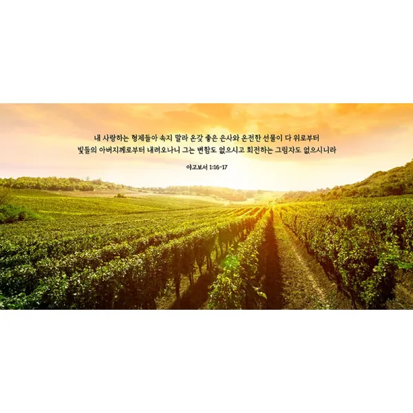 성경말씀 액자 아크릴 아트룩스 인테리어 교회 기독교 개역개정 NIV 탁상 벽걸이 소형 중형 대형 - 빛들의아버지 와이드형, 1. 빛들의아버지, 30cmx15cm, 아트락(아트룩스)