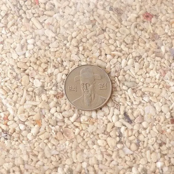[바보사랑]산호사 3~5mm 1포, 1개