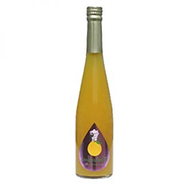 福田農場 天草晩柑 九州フルーツシロップ 500ml 후쿠다 농장 아마쿠사 저녁 승 큐슈 과일 시럽 500ml, 1