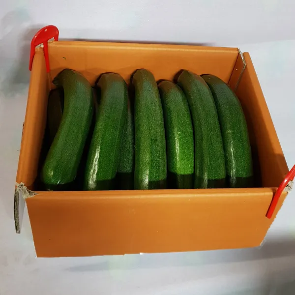 백산상회 쥬키니호박, 1박스, 10kg(특)