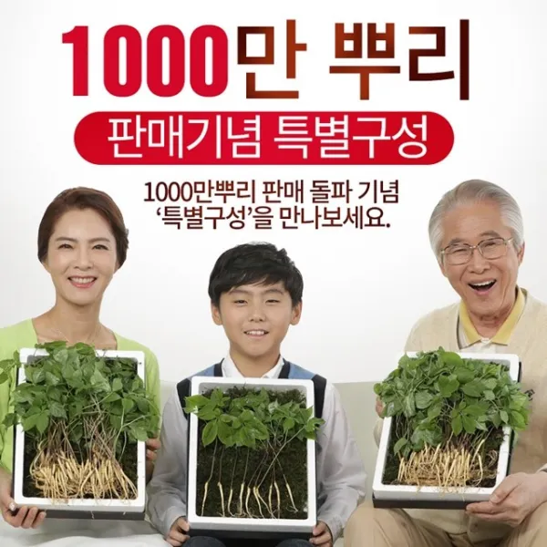 산지직송 명품 청유담 새싹삼 50뿌리 130뿌리 우리땅새싹삼 새싹인삼, 1박스