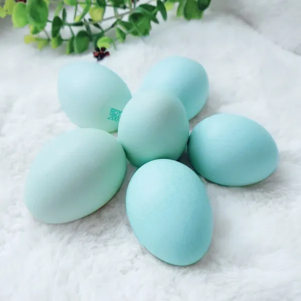 게르마늄청란 난각번호1번 방사유정란 무항생제 20구 이노바이오팜 청란 20구 1박스 