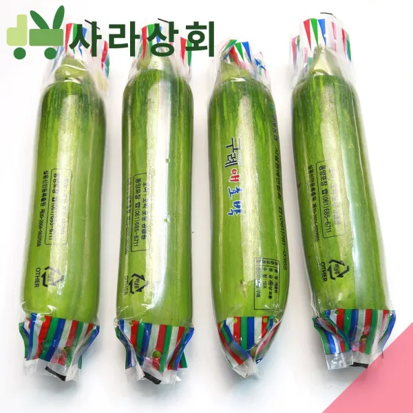 사라상회 인큐 애호박 20개 (특), 1박스, 5Kg
