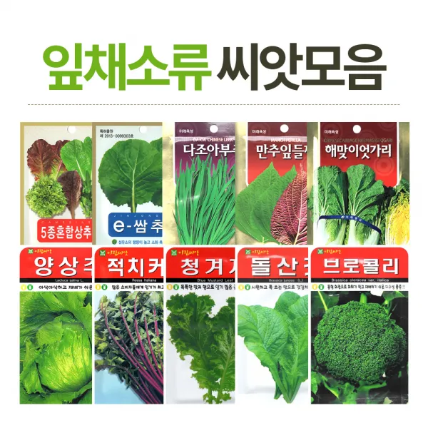 화분월드 채소 씨앗(잎채소류), 10종혼합모듬쌈채, 1개