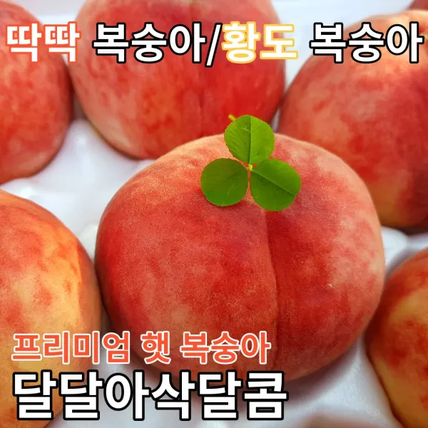 [아삭아삭] 딱딱이복숭아/황도 복숭아 3K 4KG, 딱딱 복숭아 특대 3.0KG 8~11과